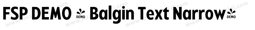 FSP DEMO - Balgin Text Narrow字体转换